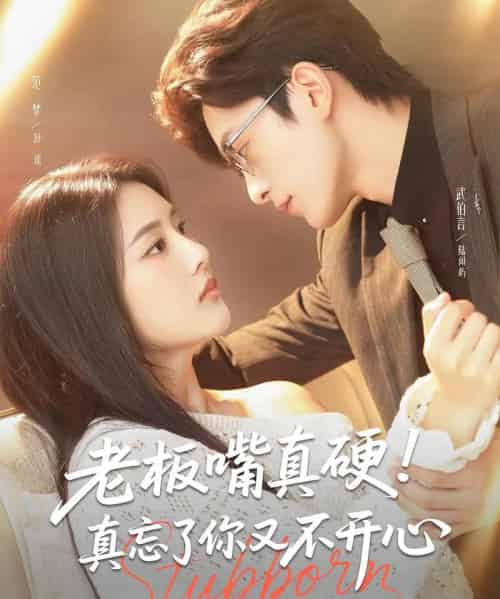 老板嘴真硬真忘了你又不开心（83集）武伯言＆范梦-搜外项目网