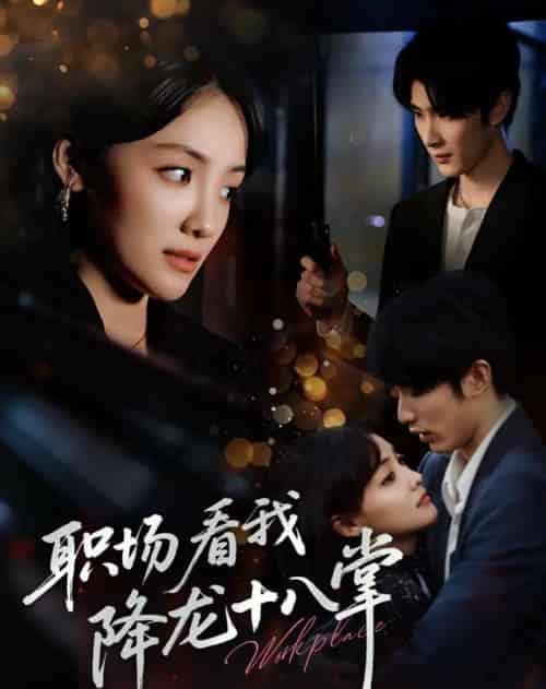 职场看我降龙十八掌（50集）裘哲夫＆顾佳菡-搜外项目网