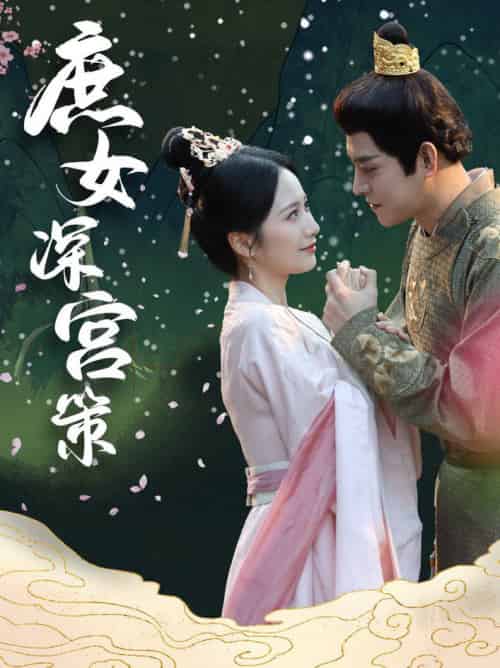 庶女深宫策(64集全)王朝阳&周冰冰-搜外项目网