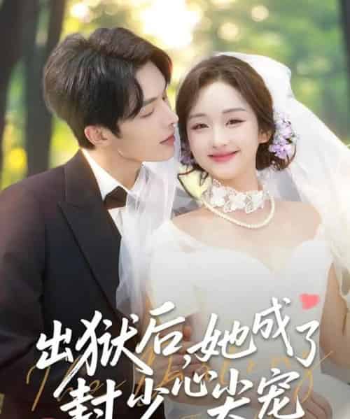 出狱后，她成了封少心尖宠（84集全）陈建宇＆吴佳璐-搜外项目网