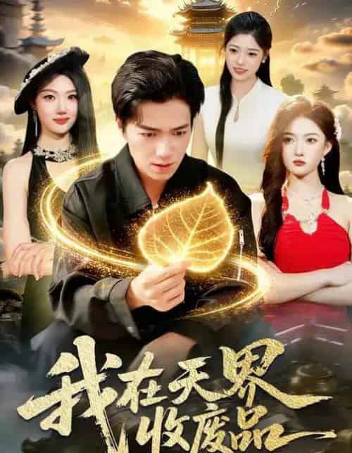 我在天界收废品（90集全）钟展鸿＆陈禺宏-搜外项目网