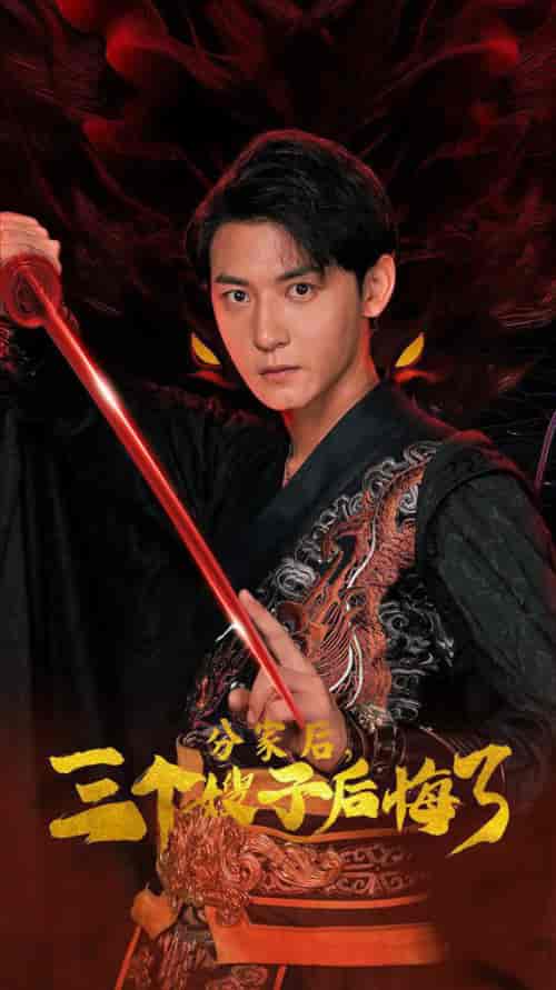 分家后，三个嫂子后悔了（63集）雨梦-搜外项目网