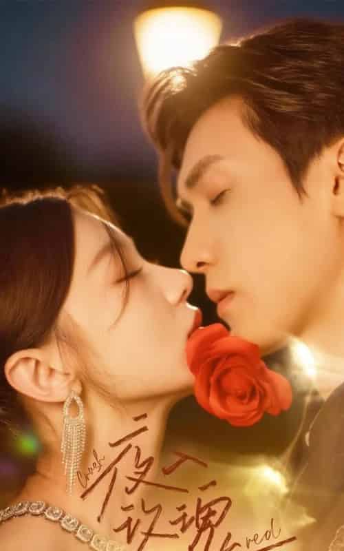 入夜玫瑰（80集）何田田＆胡家豪-搜外项目网
