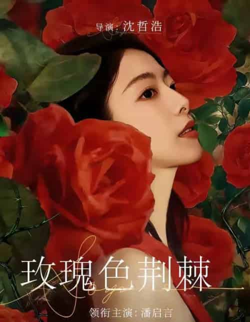玫瑰色荆棘（60集全）潘启言＆张策-搜外项目网