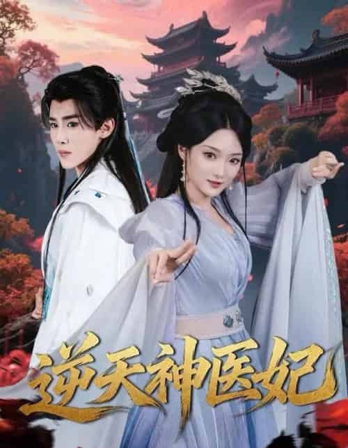 逆天神医妃(65集全)马士尧&安安-搜外项目网