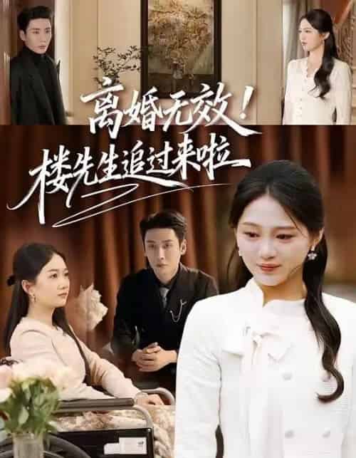 离婚无效！楼先生追过来啦（80集全）刘博洋＆崔秀子-搜外项目网