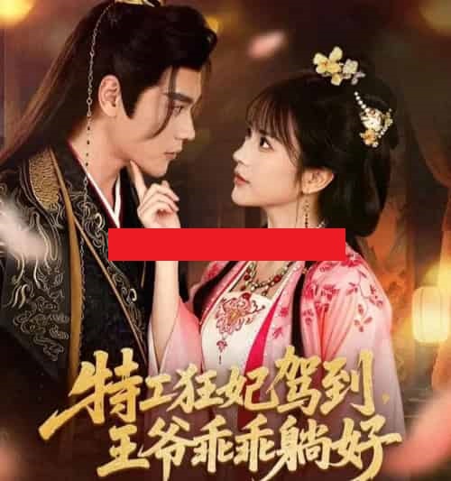 特工狂妃驾到，王爷乖乖躺好（60集全）赵垣又＆文晴-搜外项目网