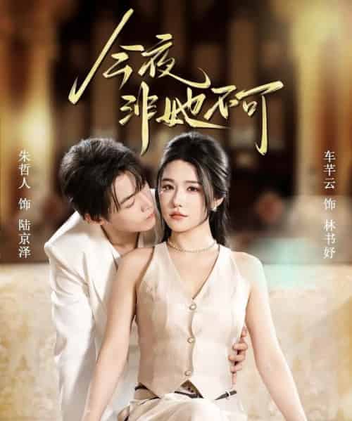 今夜非她不可(64集全)朱哲人&车芊云-搜外项目网