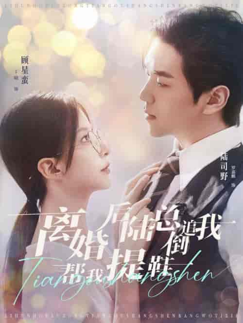 离婚后陆总倒追我帮我提鞋（100集全）罗嘉麒＆丁晓-搜外项目网