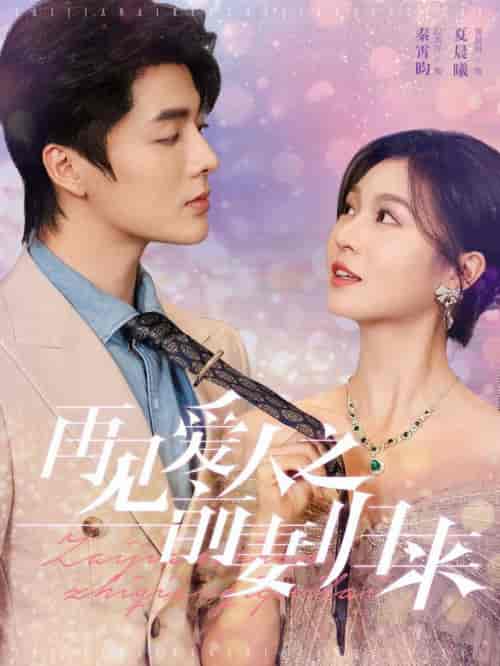 再见爱人之前妻归来(75集全)段美洋&郑晨雨-搜外项目网