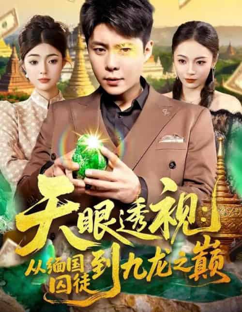 天眼透视:从缅国囚徒到九龙之巅(94集全)邵迪&韩雨宸-搜外项目网