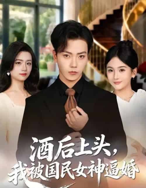 酒后上头,我被国民女神逼婚(80集全)李文轩&李怡璇-搜外项目网