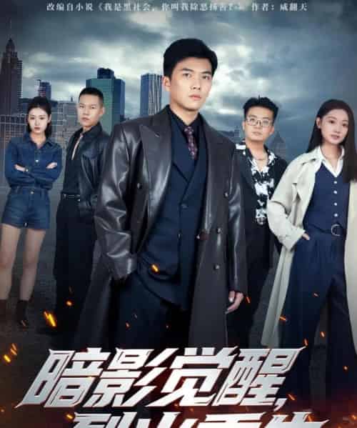 暗影觉醒,烈火重生(80集全)孙钰哲&李瑶瑶-搜外项目网