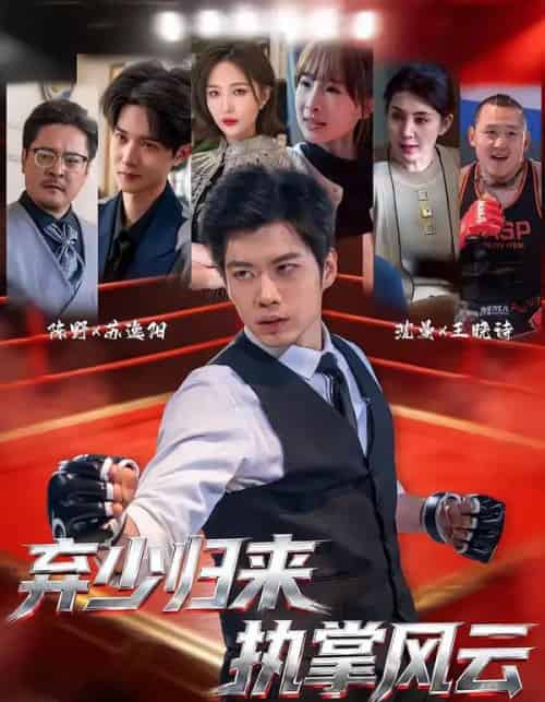 弃少归来,执掌风云(72集全)苏逸阳&王晓诗-搜外项目网