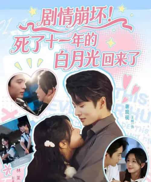 剧情崩坏死了十一年的白月光回来了（70集全）王楠＆赵慕颜-搜外项目网
