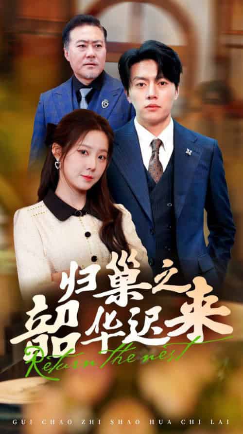 归巢之韶华迟来（62集全）张磊＆崔晓曼-搜外项目网