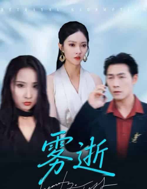 雾逝（30集全）郭虹＆黄健-搜外项目网