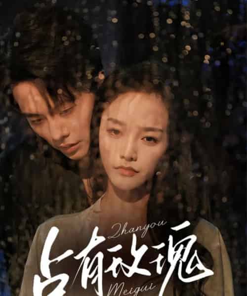 占有玫瑰(64集)王楠&李胜楠-搜外项目网