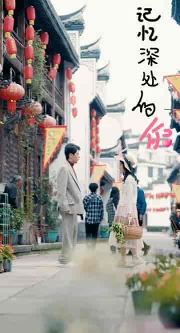 记忆深处的你（34集）张星禾-搜外项目网