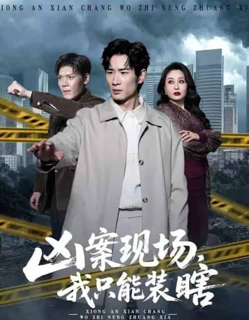 凶案现场，我只能装瞎（72集全）何俊雄＆张明雪-搜外项目网