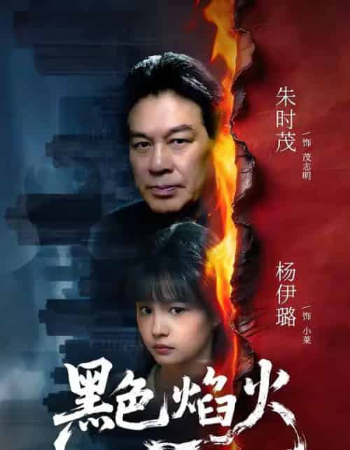 黑色焰火(41集全)朱时茂&杨伊璐-搜外项目网