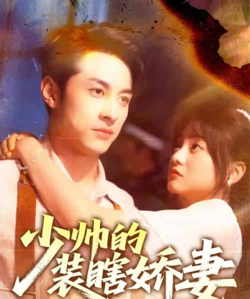 少帅的装瞎娇妻＆盲雀鸣深庭（70集）王煜可晴＆张屹杨-搜外项目网