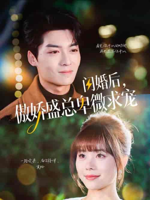 闪婚后傲娇盛总卑微求宠（100集全）方正男＆温叙-搜外项目网