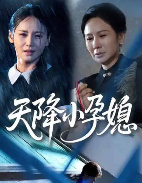 天降小孕媳（37集全）张文峰＆游雅-搜外项目网
