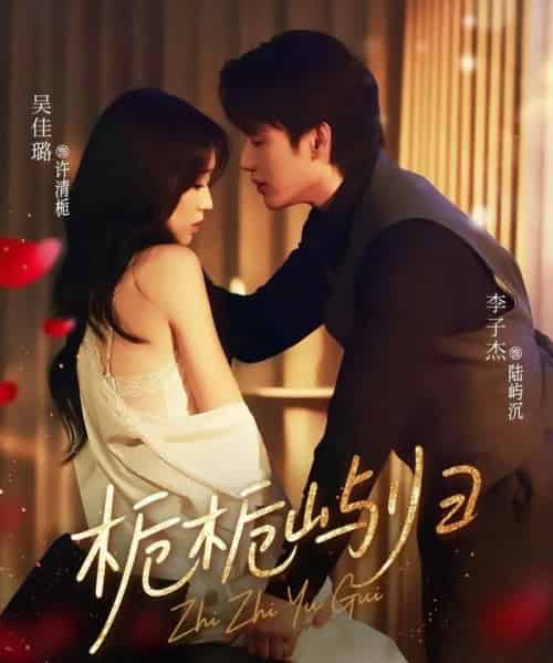 栀栀屿归（80集）李子杰＆吴佳璐-搜外项目网