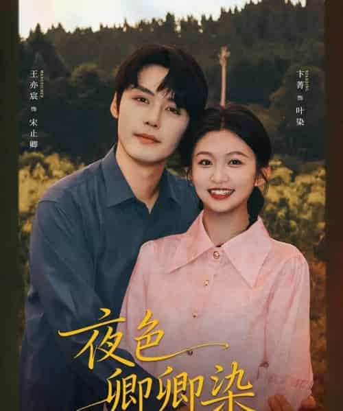 夜色卿卿染(80集全)王亦宸&卞菁-搜外项目网
