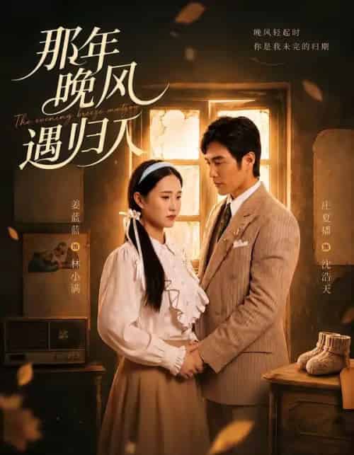 那年晚风遇归人（66集全）庄夏播＆姜蓝蓝-搜外项目网
