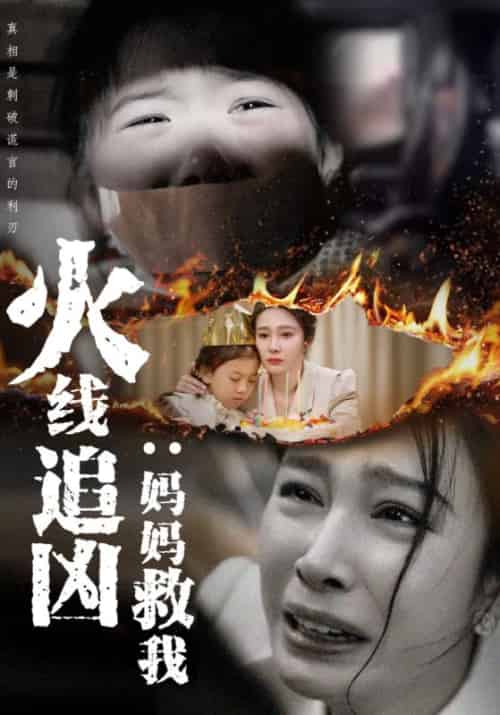 火线追凶:妈妈救我(35集全)余庸&苏韵-搜外项目网