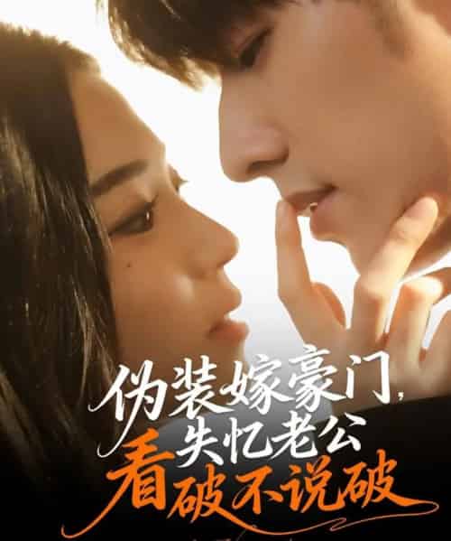 伪装嫁豪门,失忆老公看破不说破(63集全)冯祥琨&乌日丽格-搜外项目网