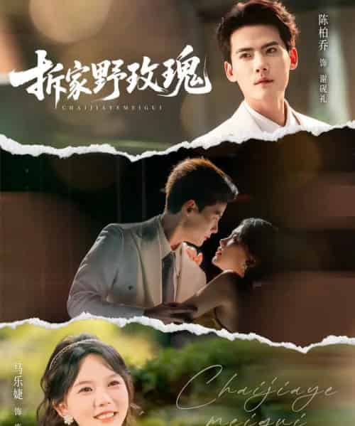 拆家野玫瑰（80集全）陈刚＆马乐婕-搜外项目网