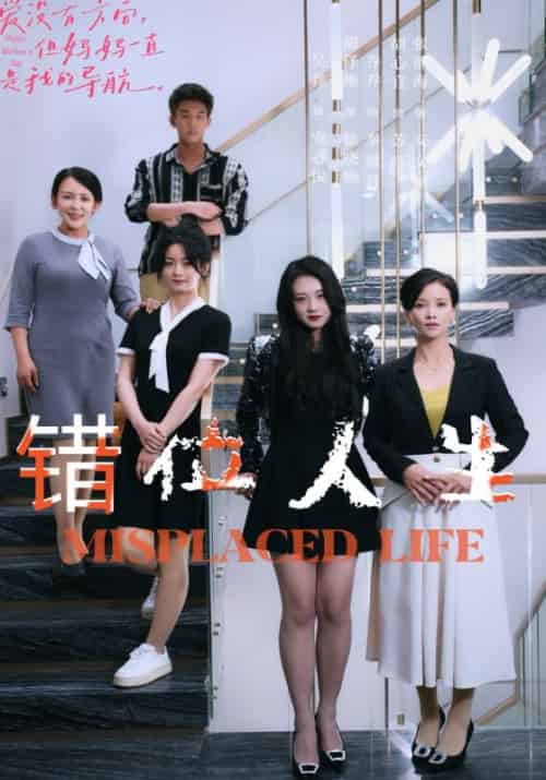 错位人生（89集）-搜外项目网