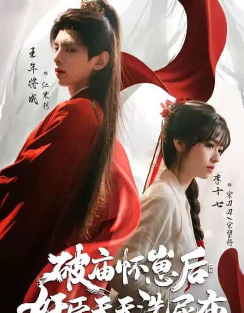破庙怀崽后，奸臣天天洗尿布（80集全）王年将成＆李十七 （2026-搜外项目网