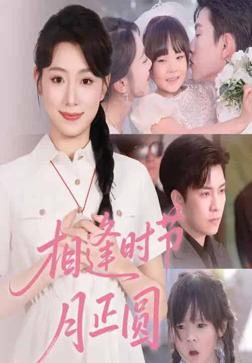 相逢时节月正圆（54集）石佳＆周玉玲-搜外项目网