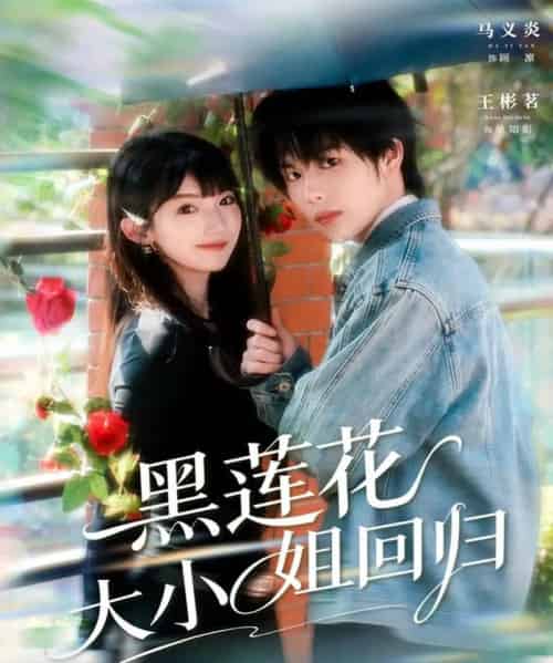 黑莲花大小姐回归（80集全）马义炎＆王彬茗-搜外项目网
