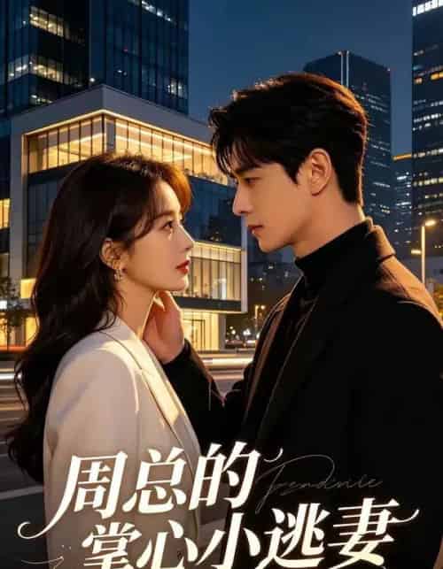 周总的掌心小逃妻（43集全）AI-搜外项目网
