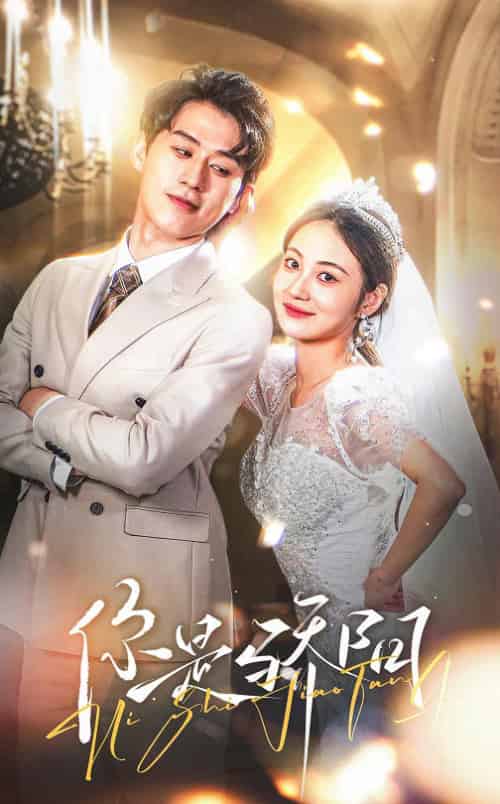 你是骄阳（66集全）陈景赫-搜外项目网