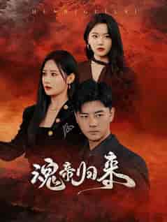 魂帝归来（49集全）李进源-搜外项目网