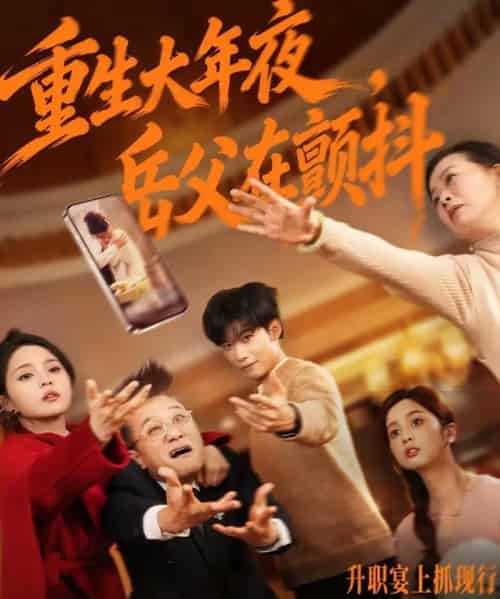 重生大年夜，岳父在颤抖（52集全）谢佳成＆余颖-搜外项目网