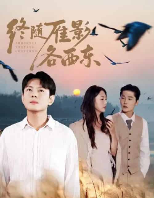 终随雁影各西东（86集全）金鑫欣＆邱浩轩-搜外项目网