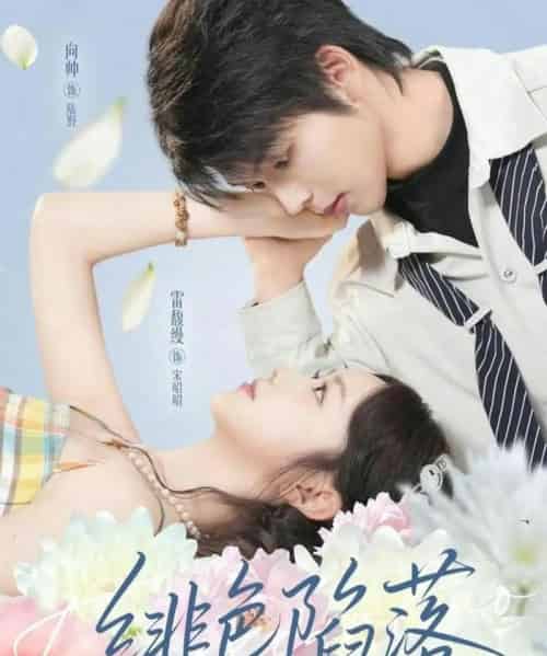 绯色陷落（72集全）雷馥缦＆向帅-搜外项目网