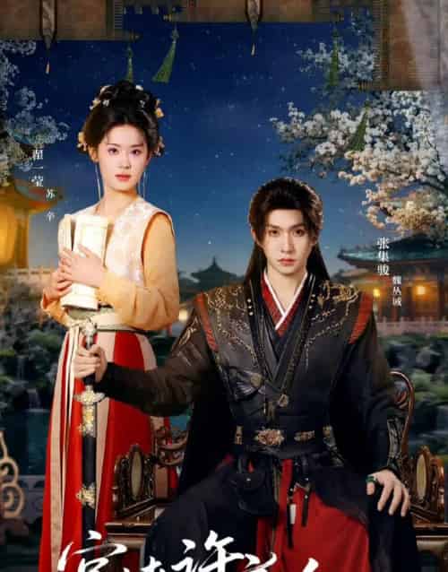 宫墙许良人（67集全）张集骏＆翟一莹-搜外项目网