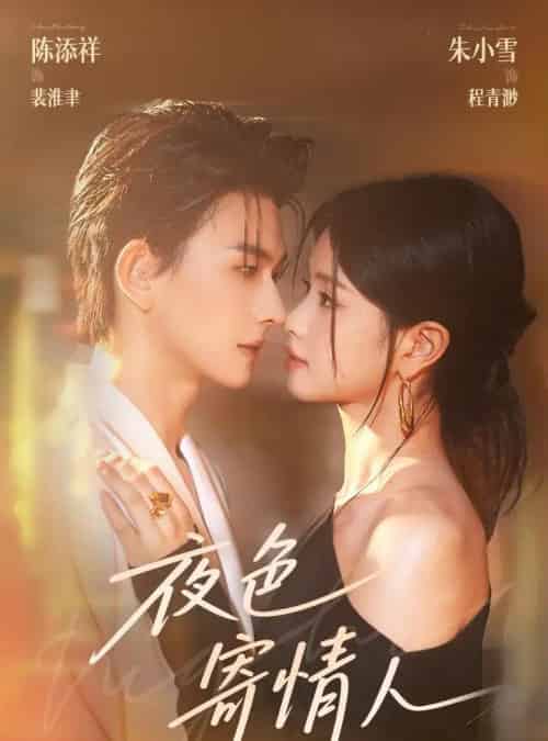夜色寄情人（108集）陈添祥＆朱小雪-搜外项目网