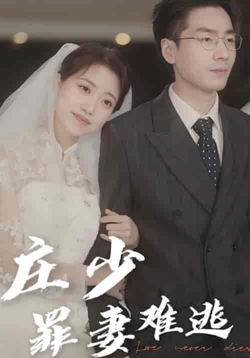 庄少罪妻难逃（80集全）庄文疏＆祝今好-搜外项目网