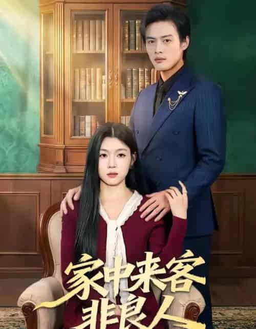 家中来客非良人(79集全)宋权晳&于钊-搜外项目网