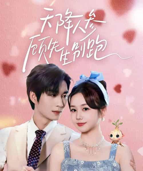 天降人参顾先生别跑（60集全）余弦＆雷馥缦-搜外项目网