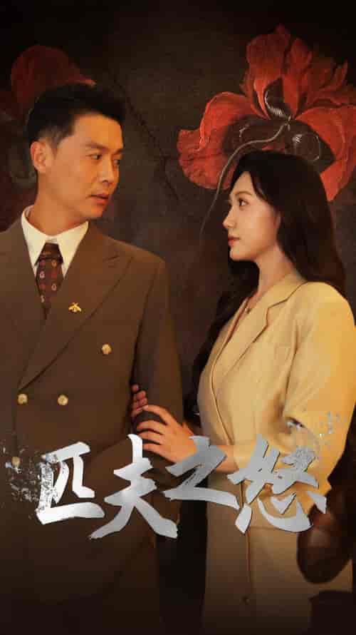 匹夫之怒（48集）景露-搜外项目网